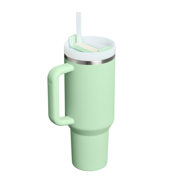 Stanley Quencher H2.O FlowState™ 1.18L Pistachio