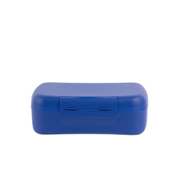 Pojemnik na kanapki i przekaski z przegródką 1,4L Cobalt Blue / Amuse