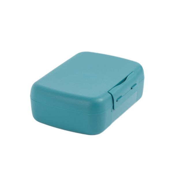 Pojemnik na kanapki i przekaski z przegródką 1,4L Reef Green / Amuse